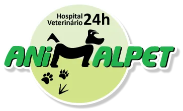 Animal Pet | Hospital Veterinário 24H
